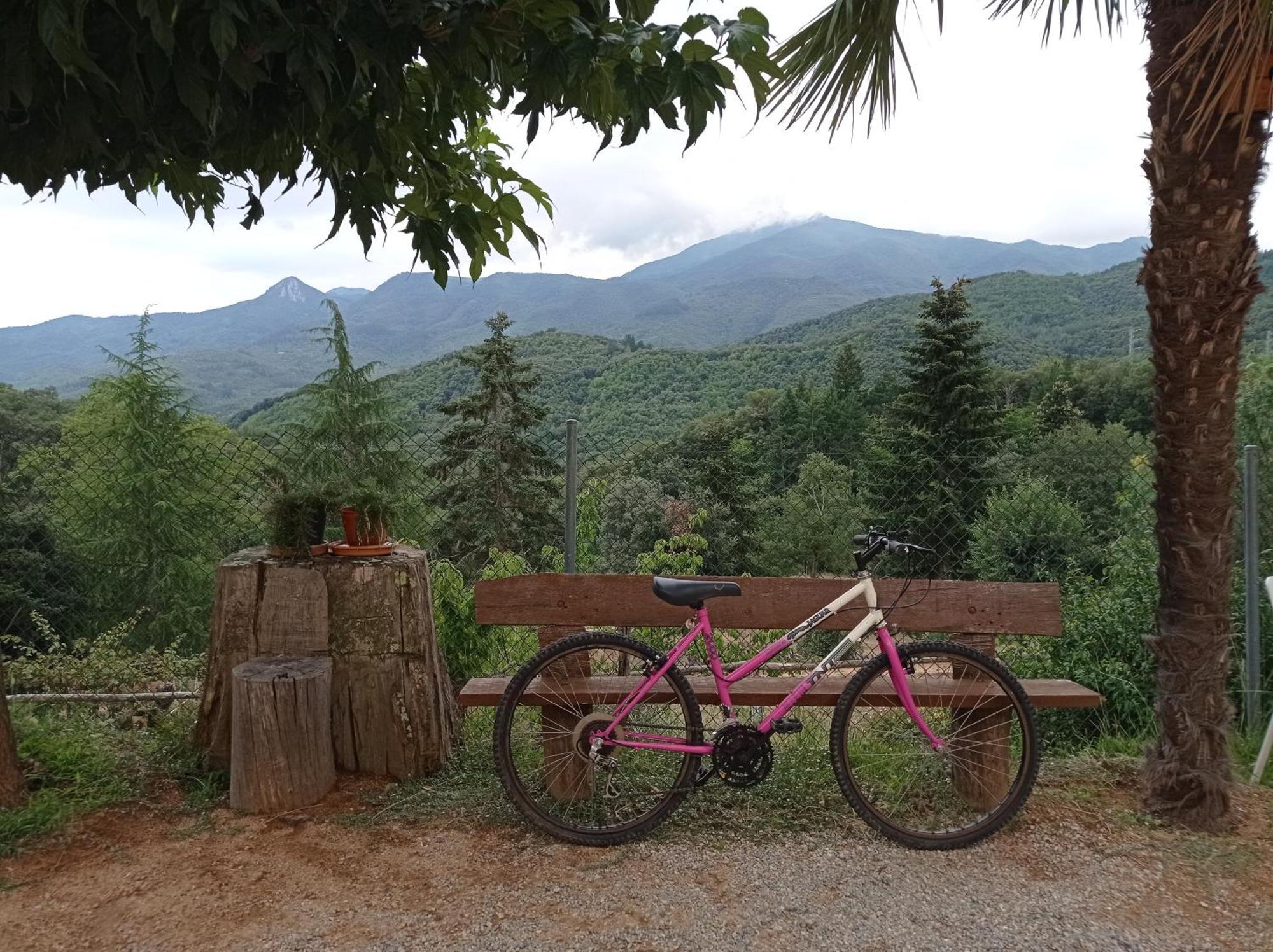 Apartamento En Pleno Montseny Mas Romeu Turisme Rural Arbucies Exterior photo
