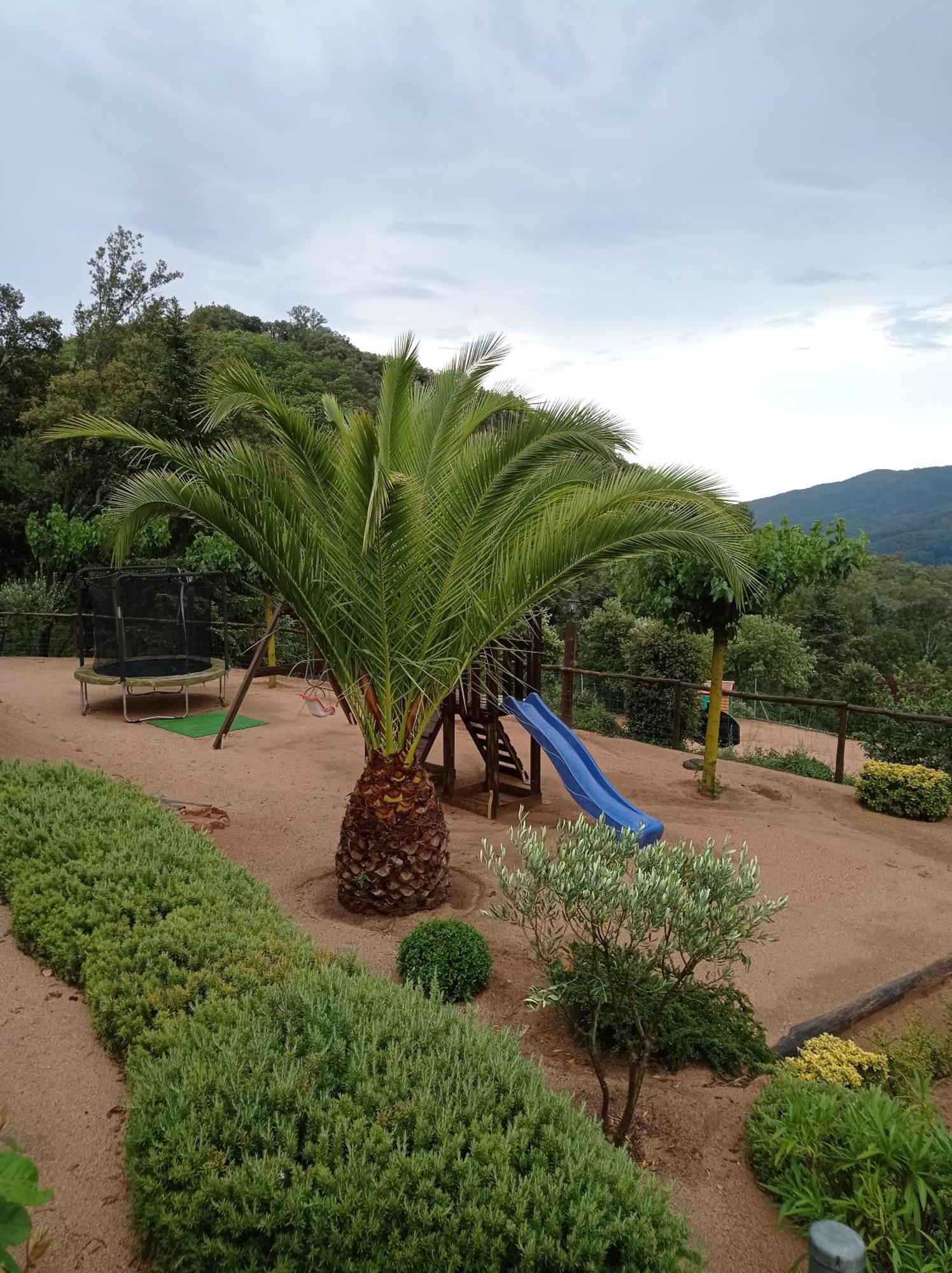 Apartamento En Pleno Montseny Mas Romeu Turisme Rural Arbucies Exterior photo